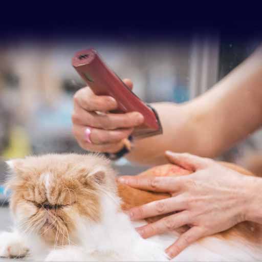  Pet Grooming Shop